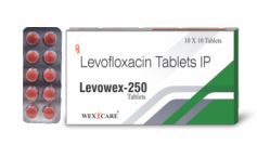 LEVOWEX-250 TABLET 1*10